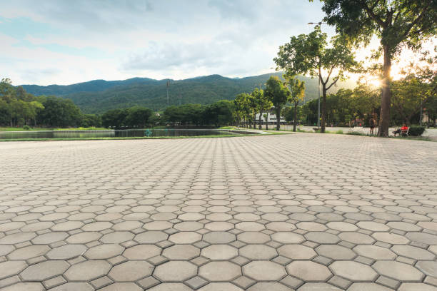 Best Professional Driveway Pavers  in South Houston, TX