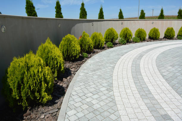 Best Decorative Driveway Pavers  in South Houston, TX