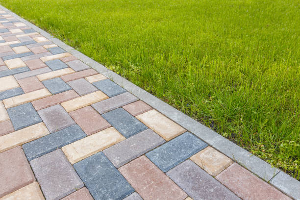 Best Custom Driveway Pavers  in South Houston, TX